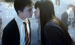 這絕對不是童書！哈利波特教我們的戀愛二三事 哈利波特、戀愛、妙麗、榮恩、石內卜、私話題