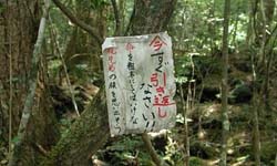 自殺聖地你敢去嗎？日本靈異勝地特輯    自殺、日本、靈異、傳說、樹海