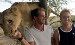 撒嬌的大貓咪！非洲母獅向救命恩人討抱抱 南非、獅子、Sirga、Valentin Gruener、Mikkel Legarth、Botswana