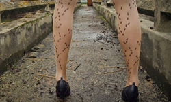 有螞蟻爬到我腳上！法國手工Kuso絲襪Les Queues de Sardines 郭采潔、鄭秀文、魏如萱、褲襪、絲襪