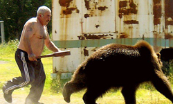 這才叫戰鬥民族！俄羅斯人爆笑生活集錦 俄羅斯、戰鬥民族、爆笑、圖、生活