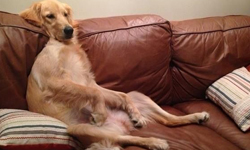 不再「掉漆」！讓指甲油持久不失手的6大注意事項    指甲油、指彩、Top coat、去光水、護手霜