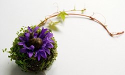 妳的子宮其實很美！花花草草展現器官生命力 Camila Carlow、Eye Heart Spleen、器官、生命力、藝術、創作、藝術