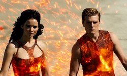 貓咪也是戲精！貓咪版《飢餓遊戲》微電影登場 HUNGER GAMES、飢餓遊戲、貓咪、CATS remake HUNGER GAMES with Cardboard