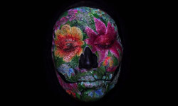 生長、死亡、腐化、轉換　生命的奧妙化妝師畫給你看 化妝、藝術、Stop motion、人生、奧妙、藝術