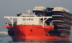 航運界的台灣之光！史上最大運輸船《藍馬林魚》號 航運、運輸船、藍馬林魚、台灣