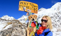 流浪狗出頭天！登上聖母峰的流浪狗Rupee Rupee、Joanne Lefson、流浪狗、聖母峰、