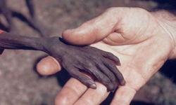 留住瞬間的真實情感　最撼動人心的攝影照片 攝影、感動、撼動、震撼、藝術