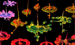 小水滴落下大震撼 2013 Eureka科學攝影獎 Eureka Prizes、澳洲、年度、科學、攝影