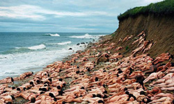 被逮捕也要繼續拍　裸體攝影師Spencer Tunick 藝術、裸體、攝影、Spencer Tunick、裸體攝影師