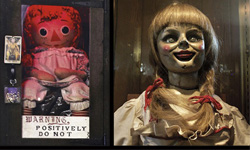 真正的安娜貝爾長這樣　《厲陰宅》華倫夫婦的靈異博物館 靈異、厲陰宅、詭異、靈異博物館、華倫夫婦