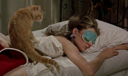 獲得最佳配角獎的是….經典電影中惹人注目的貓咪們！ 電影、貓、貓咪、配角、經典、經典電影