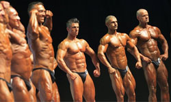 猛男的極致　世界先生的完美肌肉競賽 猛男、健美、肌肉、健美先生