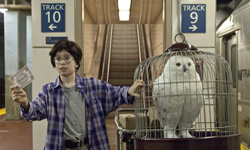 哈利波特出現在美國火車站？ 尋找9又3/4月台的神祕男孩 哈利波特、霍格華茲、Improve Everywhere、惡作劇、紐約