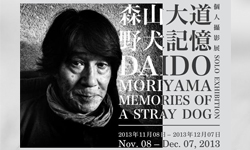 文青就是腳勤：攝影控必看之森山大道《野犬記憶》 森山大道、大波起司、張恩慈、陳惠美、阮丹青