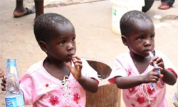 本地盛產雙胞胎！奈及利亞雙胞鎮Igbo-Ora 雙胞胎、雙生、雙生子、雙子、孿生、奈及利亞、非洲、約魯巴、世界、醫學、Igbo-Ora