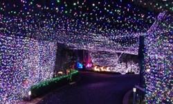 50萬盞燈放閃惹鄰怨？破金氏紀錄的華麗聖誕燈海 聖誕節、金氏世界紀錄、David Richards、聖誕燈、募款