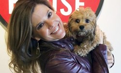 最新混血品種狗？！不老嫩犬cava-poo-chon登場 cava-poo-chon、混種、Timshell Farm、Cavalier King Charles Spaniel、Miniature Poodle