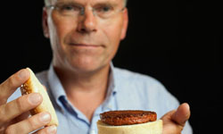 摸起來像魷魚？挑戰你味蕾的幹細胞牛肉堡 魷魚、幹細胞牛肉堡、Mark Post