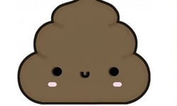 禁止當眾撇條！舊金山嚴重的環境問題 舊金山、環境、排泄、撇條、大便