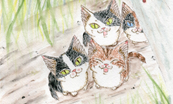 用大眼仔的精神往前衝！把愛貓當主角的繪本人生 Andrea Cat、怪獸大學、貓咪