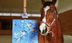 是賽馬也是畫家！找到人生第二春的退役賽馬Metro Meteor Metro Meteor、馬、畫家、