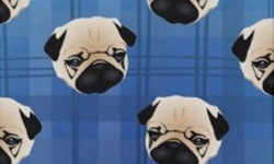 讓小巴哥守護你的手機！萬人迷巴哥犬手機殼特蒐 巴哥、巴哥犬、手機、手機殼、可愛