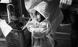 想向安海瑟薇看齊！張鈞甯私密日記大公開 vogue、安海瑟薇、悲慘世界、古裝劇、李安