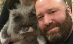 半貓半貓頭鷹　擁有好多鬍子朋友的鬍鬚貓Owlbert Owlbert、貓、鬍鬚、可愛、萌