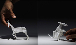 一包衛生紙就是一座森林！栩栩如生的衛生紙動物《TISSUE ANIMALS》 Yuki Ariga、日本、衛生紙、Nepia、藝術、動物、TISSUE ANIMALS、藝術