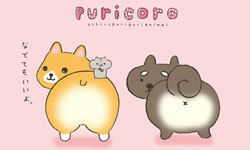 柯基靠屁屁變卡通明星！無害系新角色Puricoro背對登場    柯基、Puricoro、萌