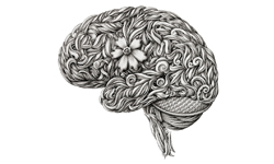 以血描繪雕花人體器官 拉脫維亞藝術插畫家A.M. Konahins A.M. Konahins、雕花、洛可可、插畫家、拉脫維亞