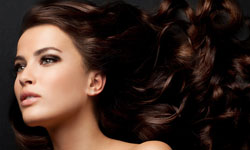 我不要生病的頭皮！頭髮養護健檢室    頭髮、美髮、保養、頭皮、養護