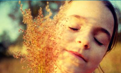 想要睡好覺也要選對色？挑對寢具顏色就能一覺到天亮！ ibeauty、顏色、影響、情緒、飲食