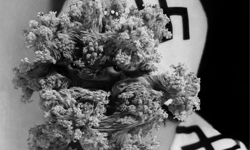 臉蛋炸裂瞬間密集恐懼 Lamberto Teotino超現實攝影 恐怖、詭異、臉蛋、炸裂、腦袋