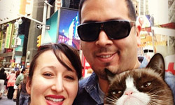 臉是在臭什麼意思？《Grumpy Bomb》讓臭臉貓亂入你的照片 臭臉貓、grumpy cat、不爽貓、Tard、亂入