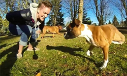 只有兩隻腳依然走就像飛！天生殘疾拳師犬Duncan的勵志故事 拳師犬、Duncan、兩隻腳、天生殘疾、勵志、故事、復健、Amanda Giese