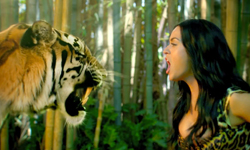 這次不用聽她吼！凱蒂佩芮《聽我吼》民謠風翻唱版 翻唱、Katy Perry、ROAR、咆哮、凱蒂佩芮