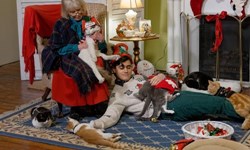 流浪貓也想要聖誕禮物！貓咪網路直播找新家 流浪貓、聖誕節、網路直播、動物保護組織