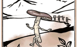 醜到令人憐愛！令人又愛又恨的菇妖養成遊戲 きのこおやじ、App、養成、香菇、菇妖