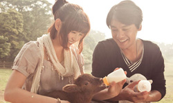 我們都有女主角基因！那些偶像劇教我們的事 流星花園、敗犬女王、那年我們有約、遇見幸福300天、偶像劇