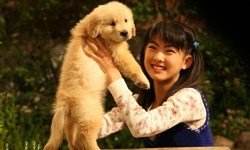 12月20日 電視看甚麼：請記得我愛你《與狗狗的10個約定》 電視、節目表、電視節目表、電影、名模大間諜