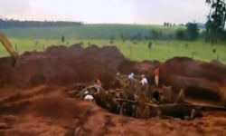 深達8公尺的地下碉堡　巴西巨型蟻穴曝光 巴西、蟻穴、切葉蟻、螞蟻、研究