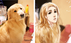 原來你家的寵物長得這麼美！雪代薰的唯美貓狗擬人畫 寵物、貓咪、狗狗、雪代薰、微博、插畫、擬人、藝術