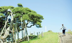 帶著相機去旅行吧！女孩的一日出走計畫 相機、旅行、出走、紀念、回憶、影像、腳架、景點