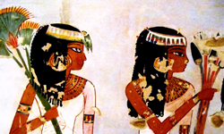 鱷魚屎塞下體避孕？！8種驚悚的古代節育法 鱷魚、驚異、避孕、節育、目瞪口呆