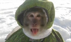 笑你千遍也不厭倦！整人大王Jimmy Kimmel的2013精選片段 Jimmy Kimmel、影片、整人、2013