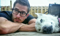 最可愛的都在這裡！2013最紅動物大集合    寵物趣聞、 毛孩、動物、寵物、網路紅貓