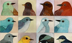 畫了超過1000隻鳥 墨西哥插畫家Geninne Zlatkis Geninne Zlatkis、墨西哥、插畫家、鳥、版畫