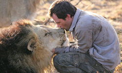 萬獸之王也會賣萌！融化人心的萌猛獸       動物、萌、賣萌、猛獸、老虎、獅子